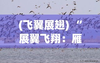 (飞翼展翅) “展翼飞翔：雁丘陵的自然奇观与生态保护之旅”